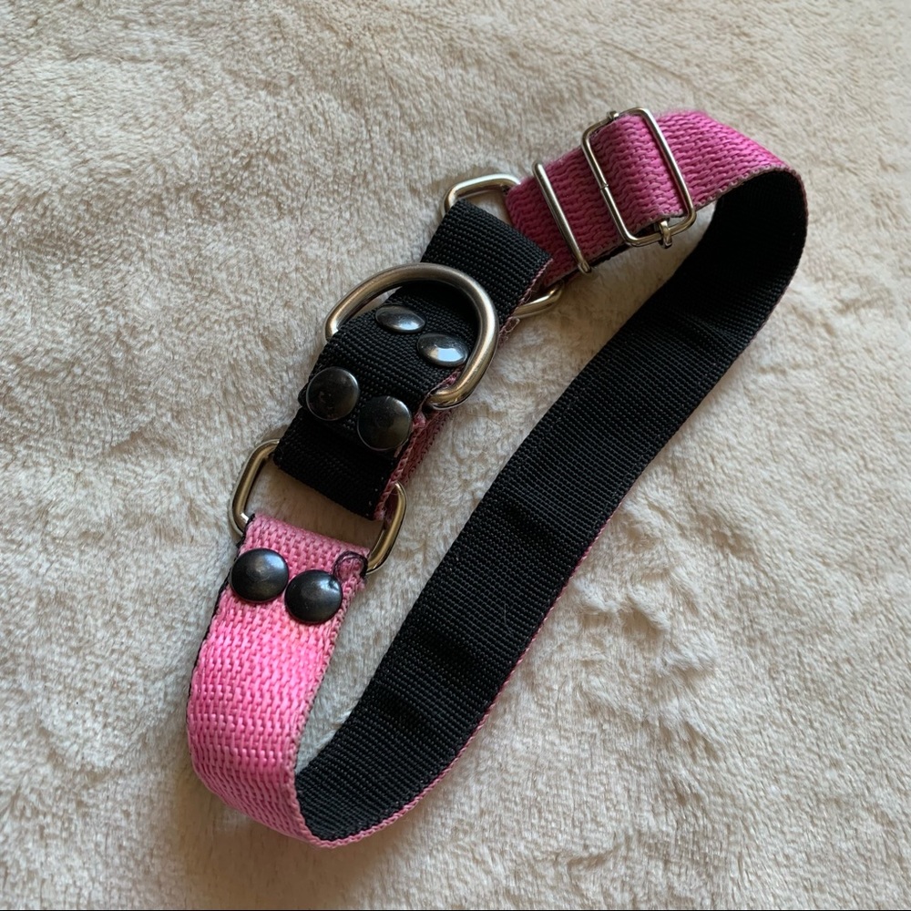 Dog collar Martingale Medium pink/black - Picture 7 of 9